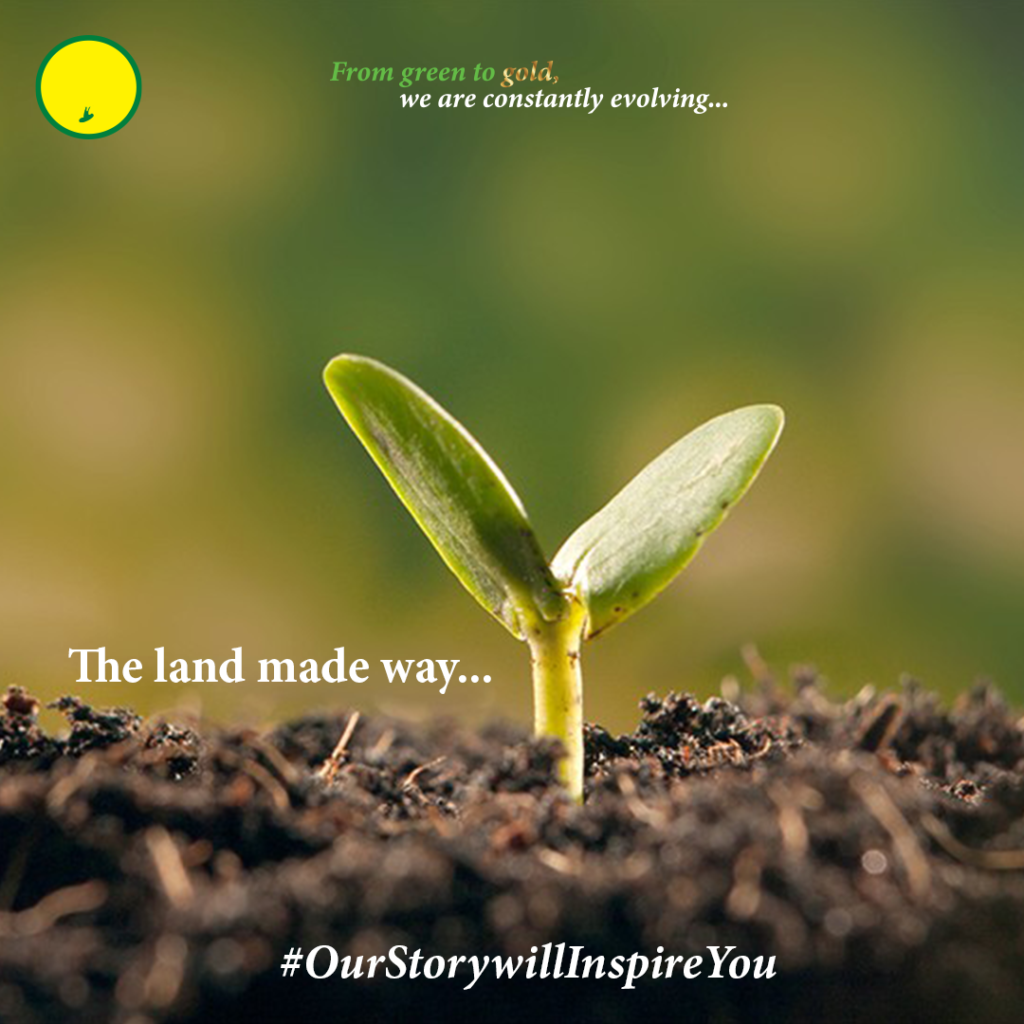 OUR STORY WILL INSPIRE YOU