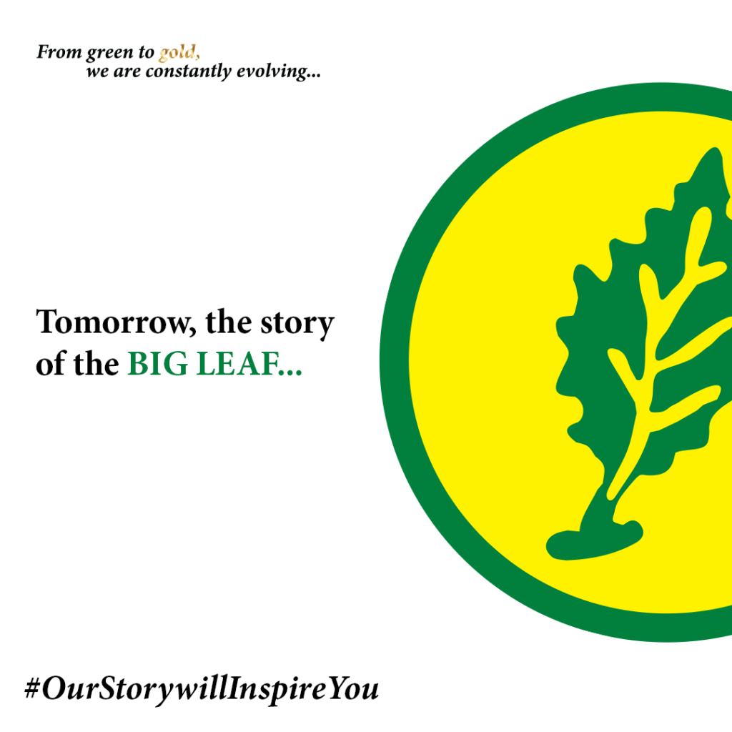 TOMORROW THE STORY OF THE BIG LEAF