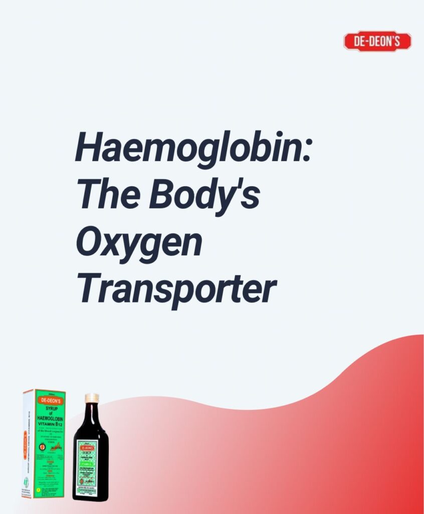 All About Haemoglobin – The Body’s Oxygen Transporter